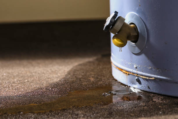 Best Ceiling water damage repair  in Lincoln Center, KS