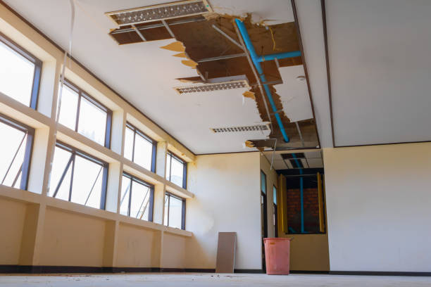 Best Flooded house restoration  in Lincoln Center, KS