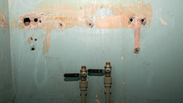 Best 24-hour water damage restoration  in Lincoln Center, KS