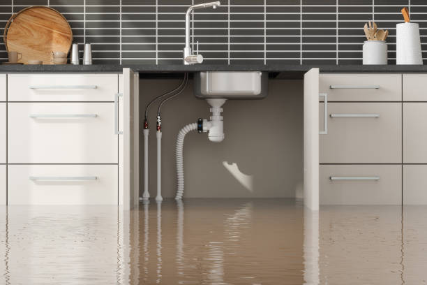Best 24/7 water damage repair  in Lincoln Center, KS
